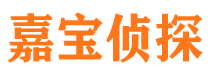 庄浪侦探公司